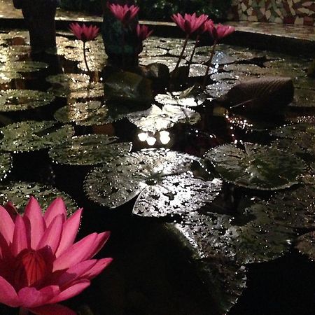 プエルト・プリンセサ The Lotus Garden Bed & Breakfast エクステリア 写真