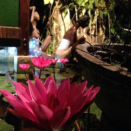 プエルト・プリンセサ The Lotus Garden Bed & Breakfast エクステリア 写真
