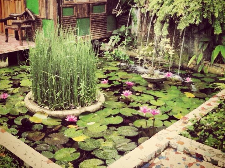 プエルト・プリンセサ The Lotus Garden Bed & Breakfast エクステリア 写真